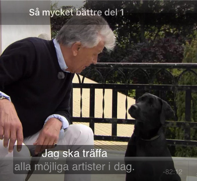 Götahund i ”Så mycket bättre”