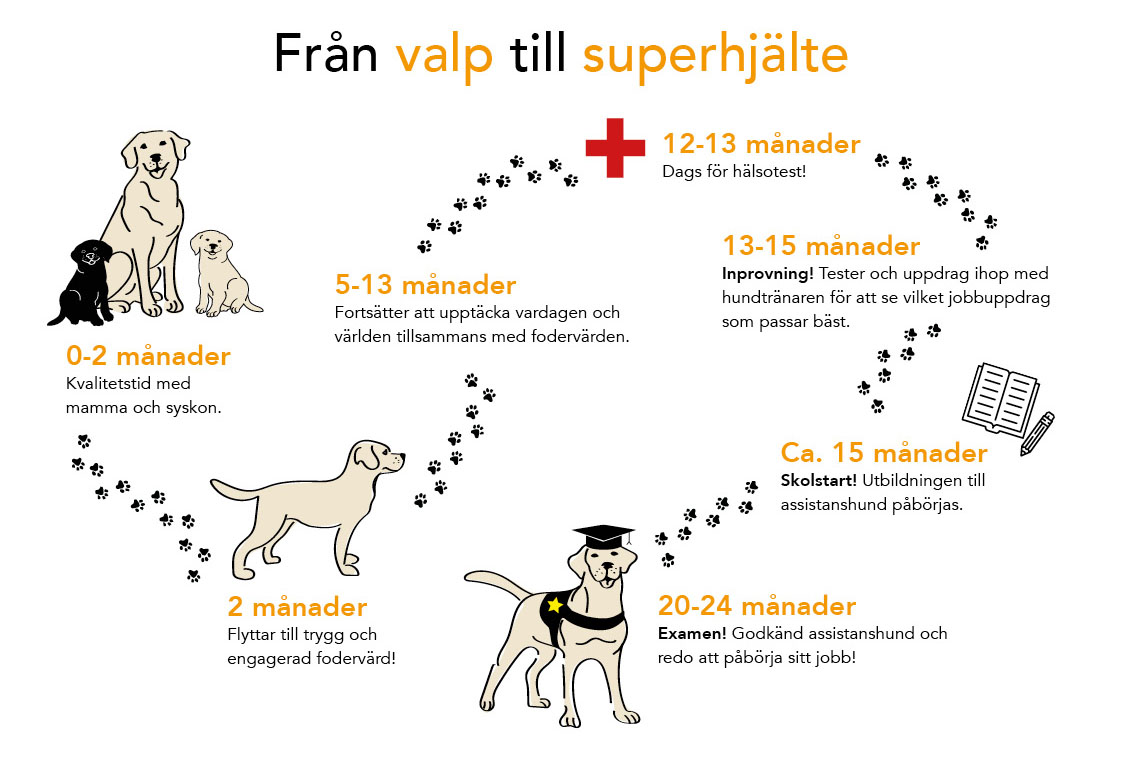 Bli | Götahund